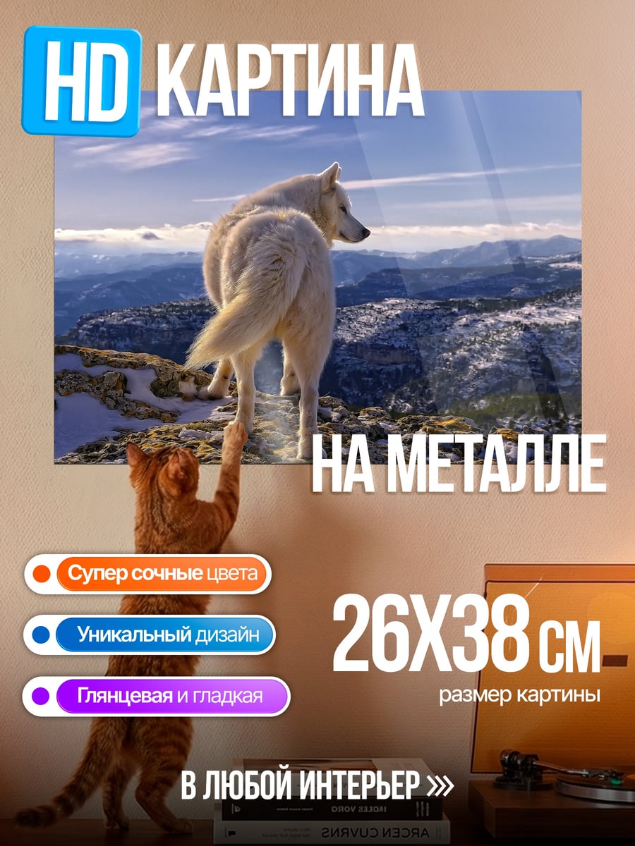Картина на металле белый волк горы