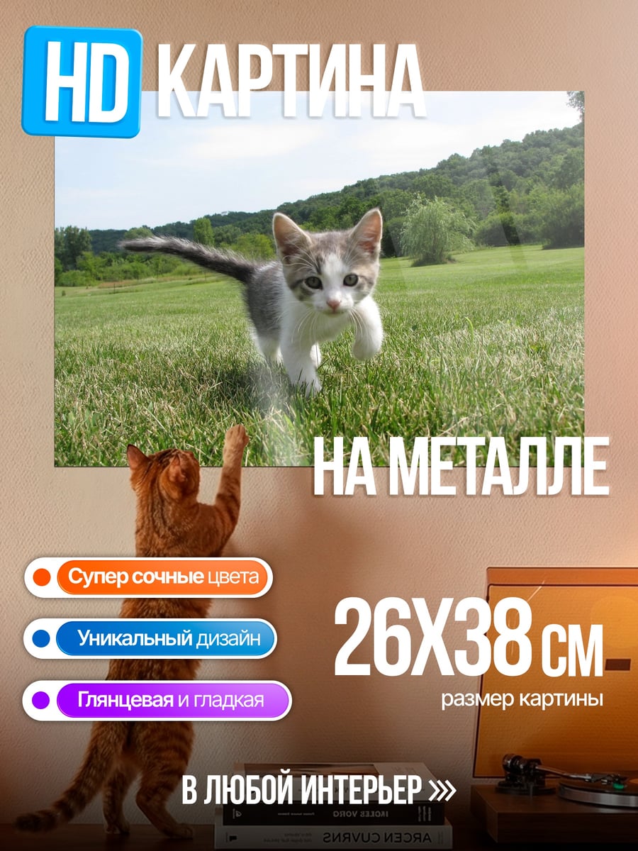 Картина на металле Котёнок на траве