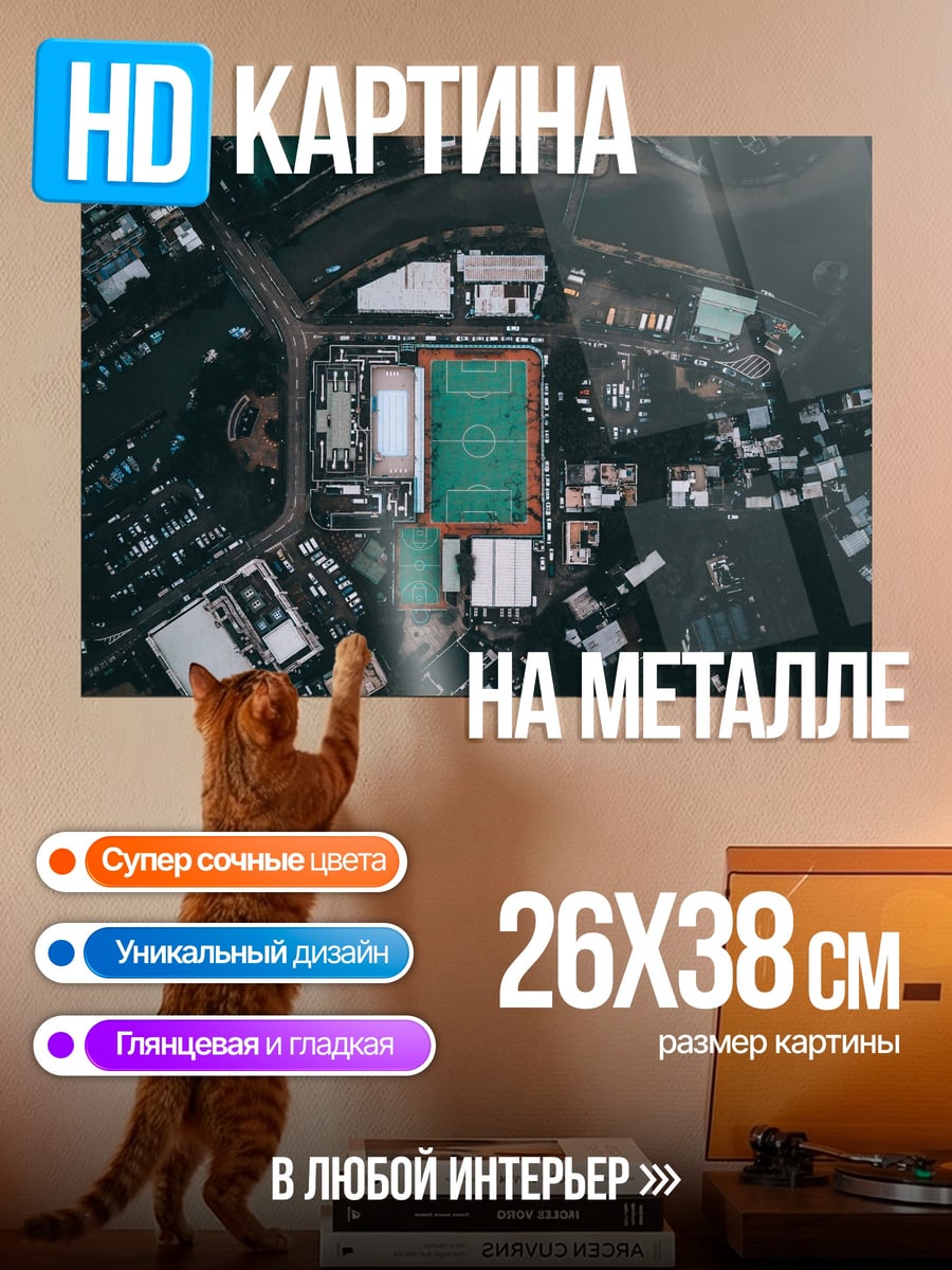 Картина на металле Городской стадион сверху