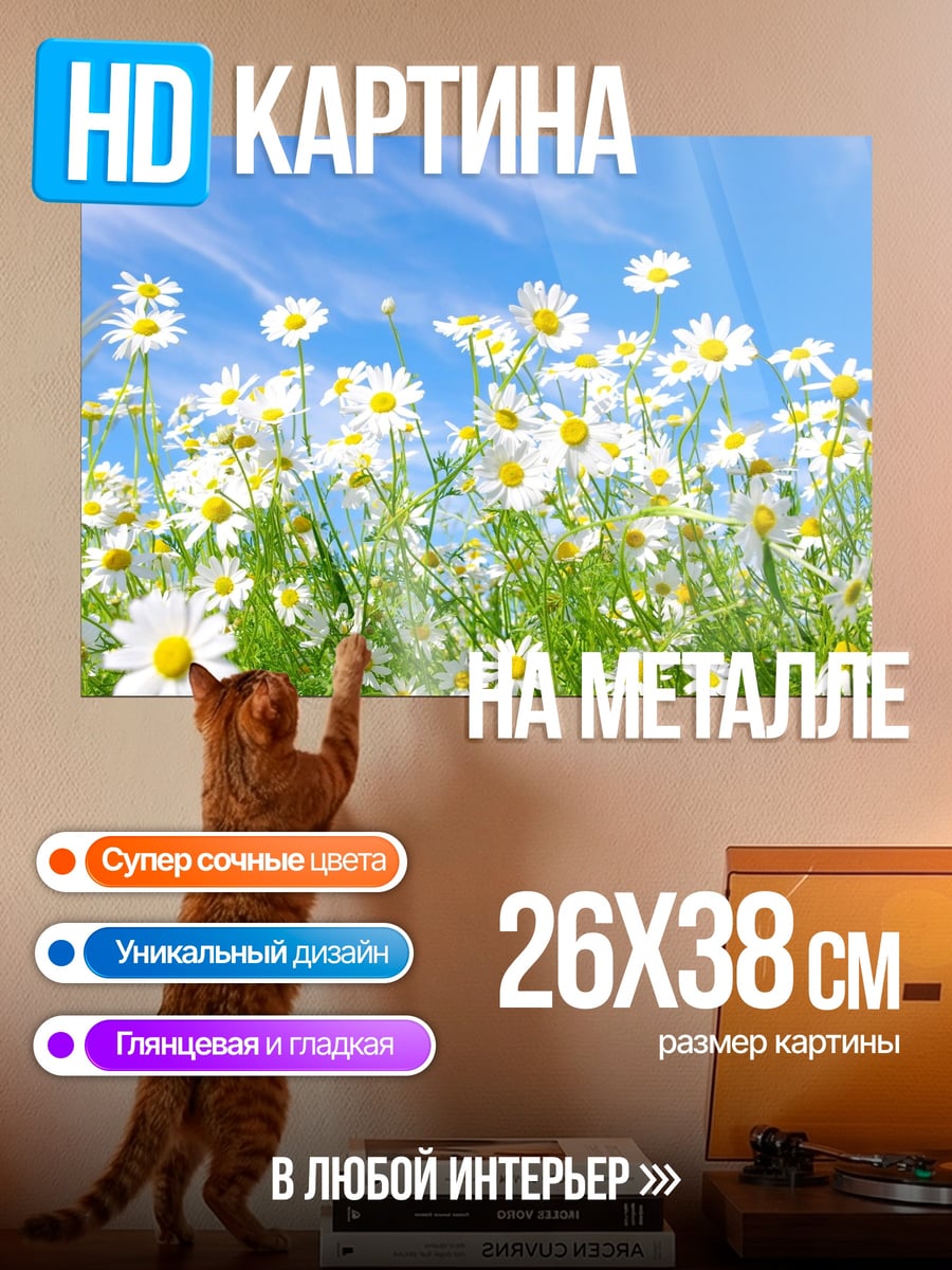 Картина на металле Поле ромашек