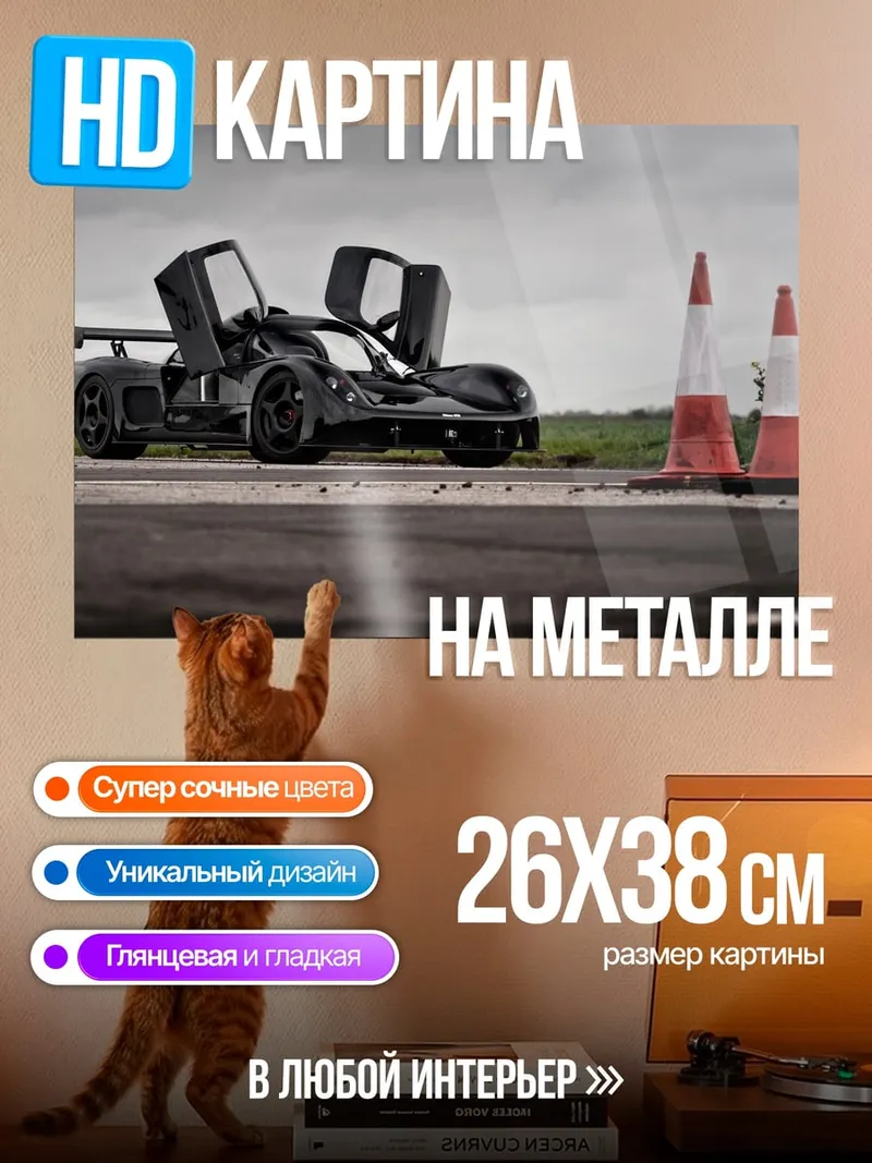 Картина на металле Черный суперкар двери