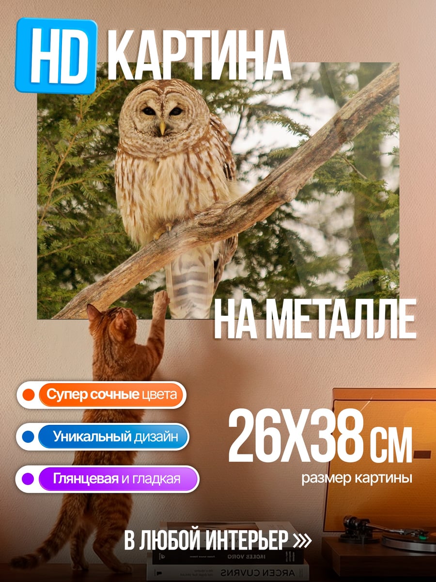 Картина на металле Полосатая сова