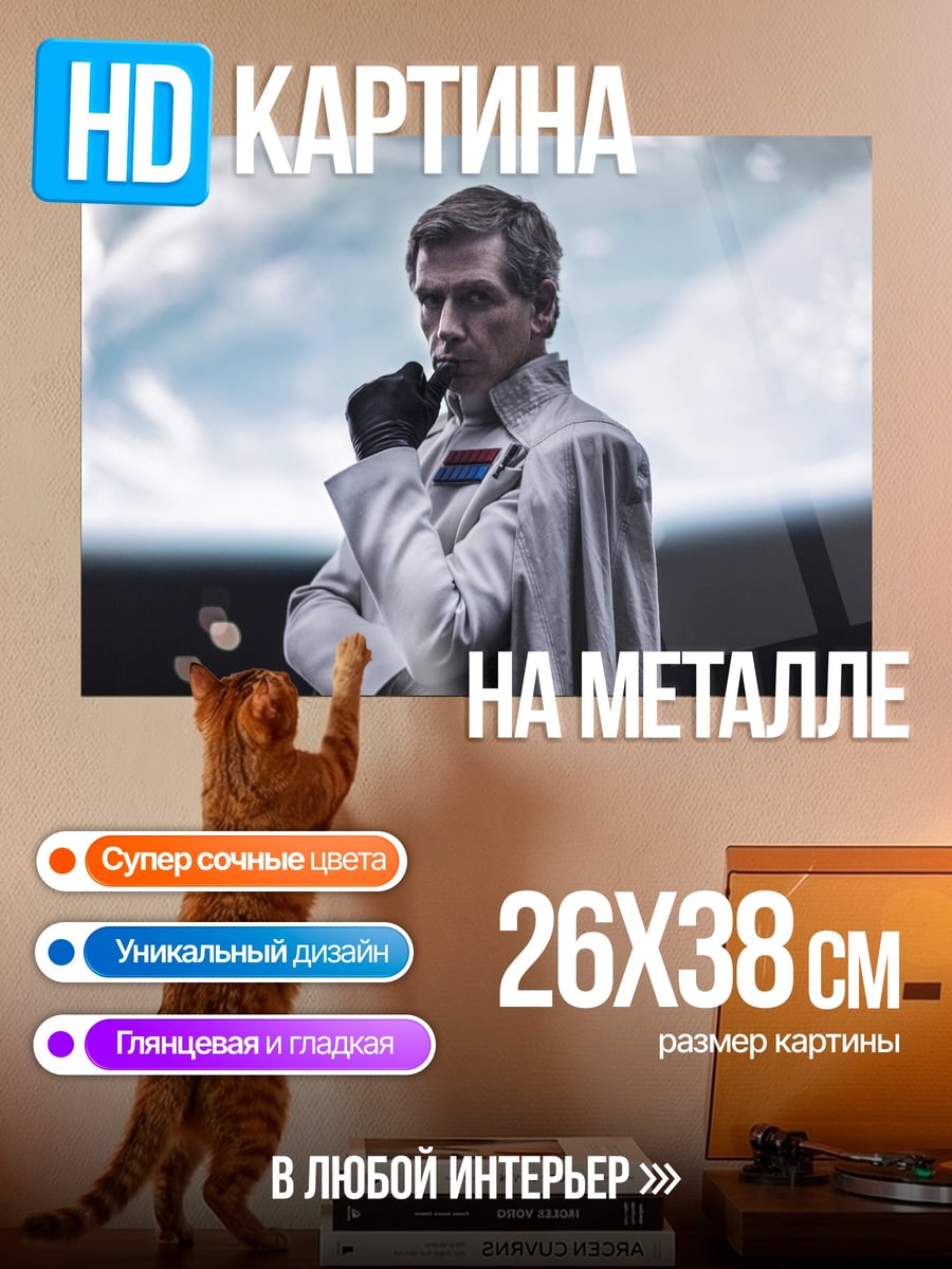 Картина на металле Офицер Звёздных Войн