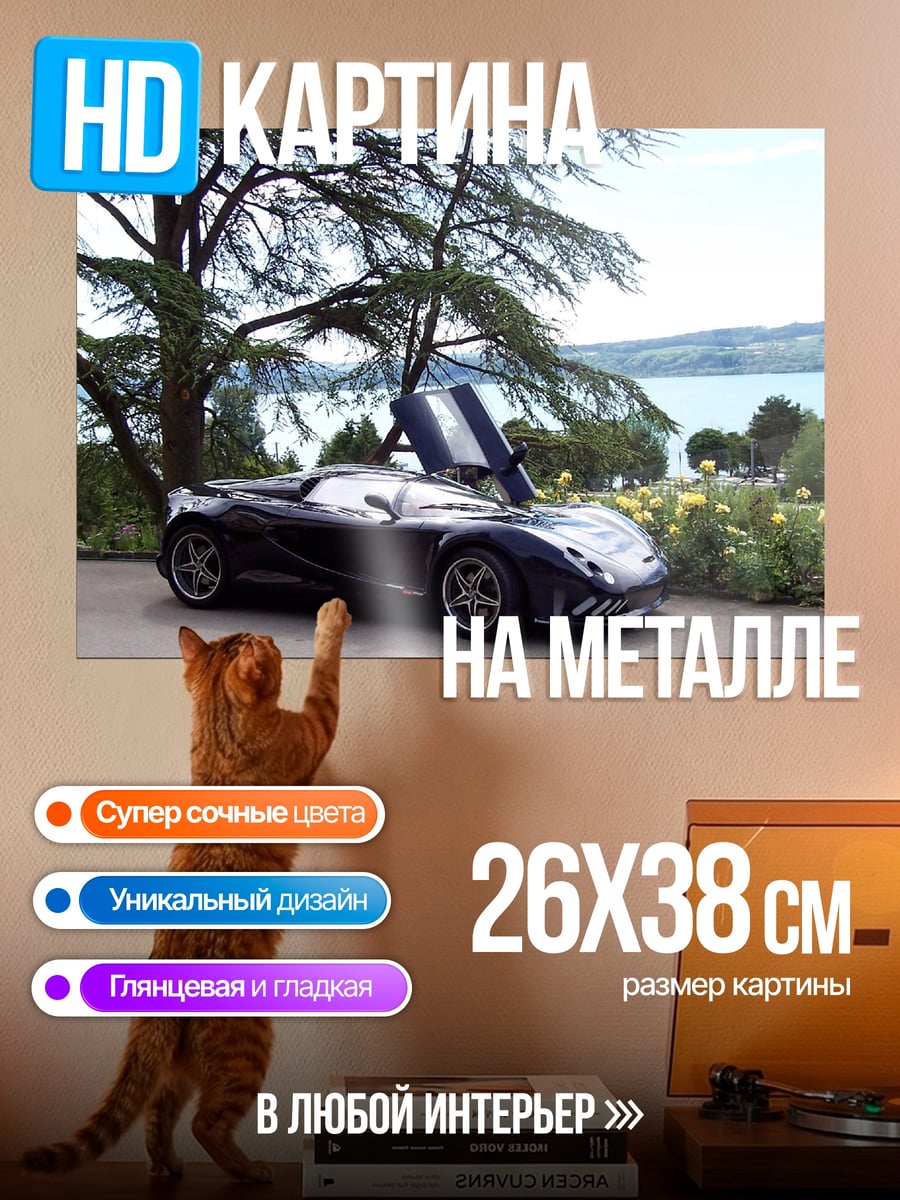 Картина на металле Черный спорткар