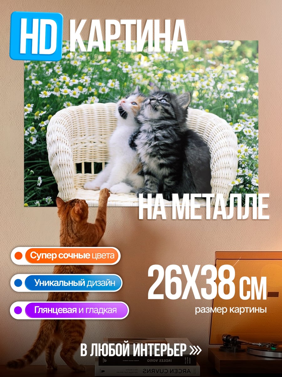 Картина на металле Два котенка на стуле