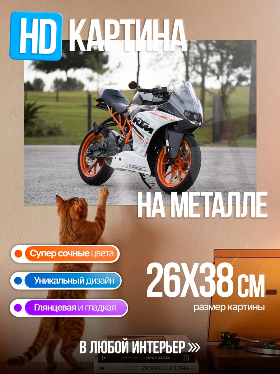 Картина на металле спортивный мотоцикл