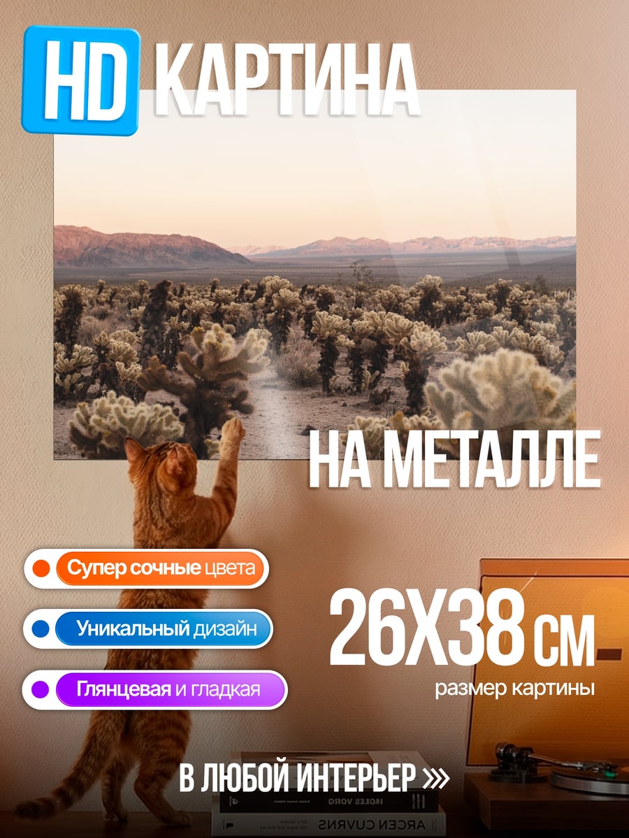 Картина на металле Пустынный пейзаж кактусы