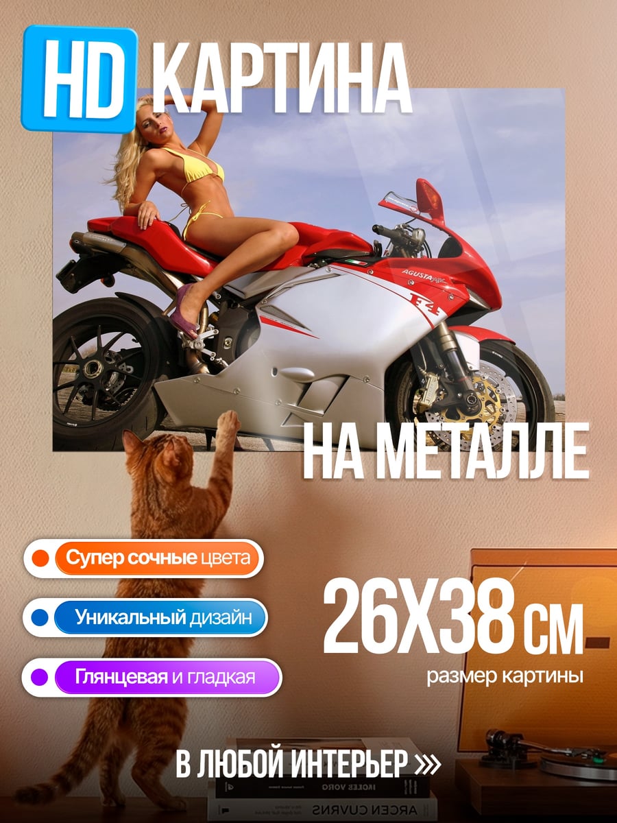 Картина на металле Девушка на мотоцикле