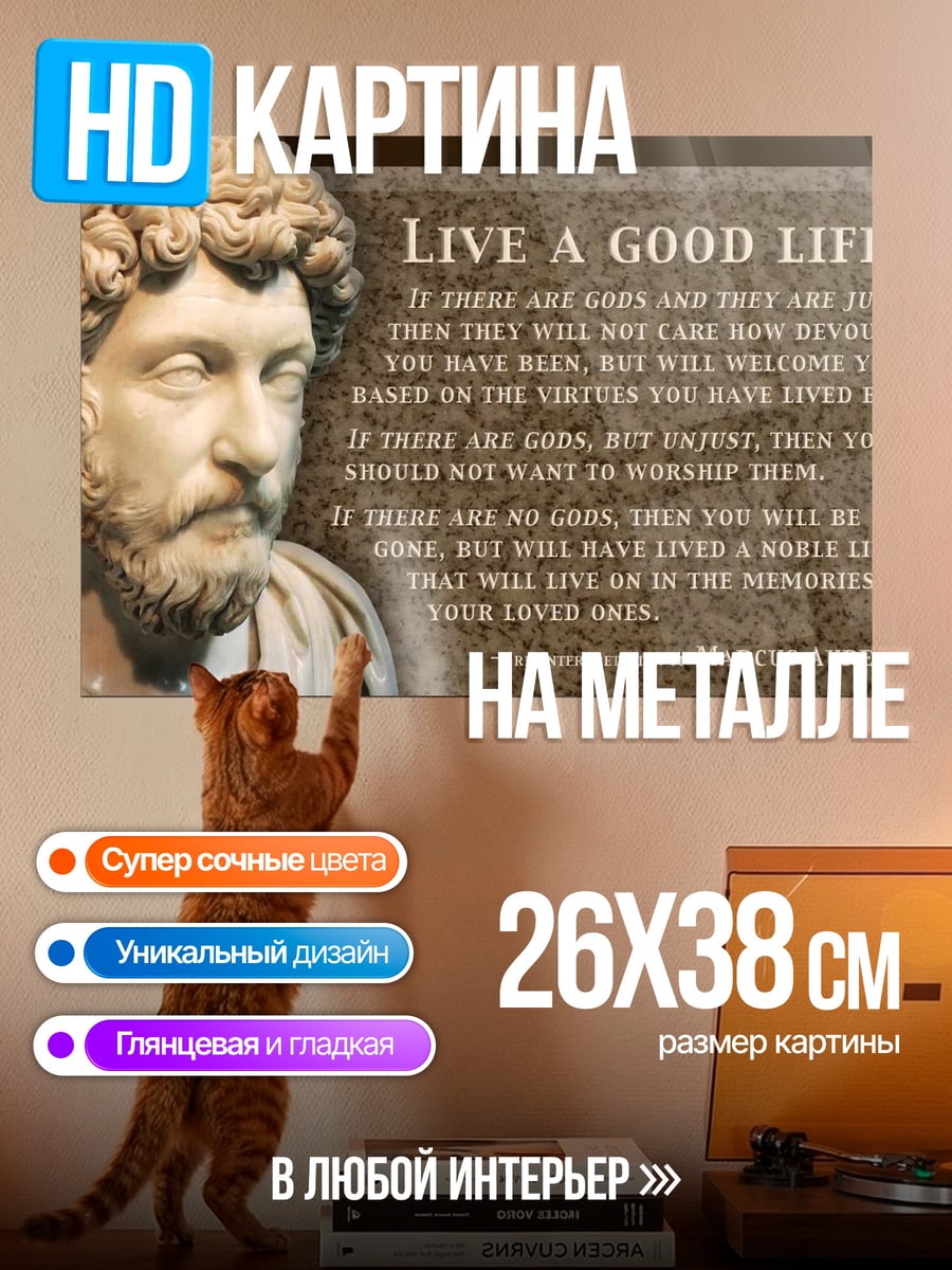 Картина на металле Марк Аврелий цитата