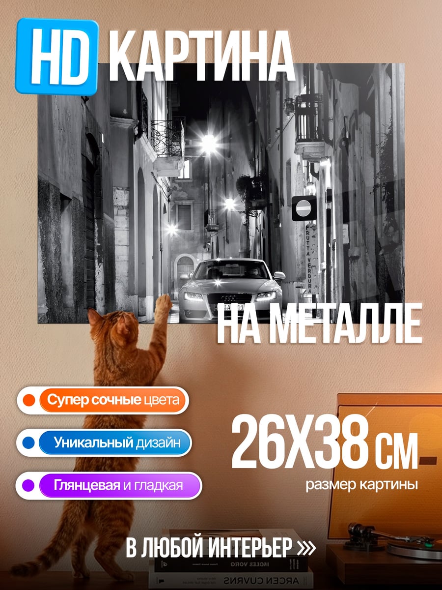 Картина на металле Черно-белый автомобиль