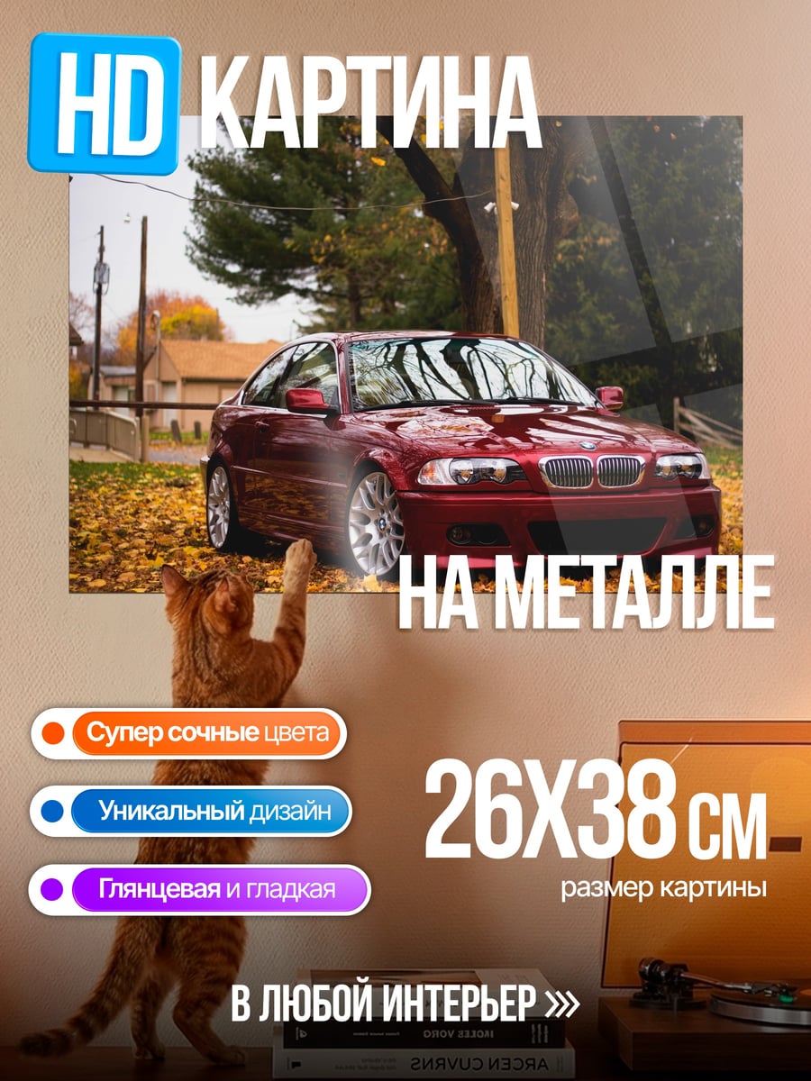 Картина на металле Осенний БМВ