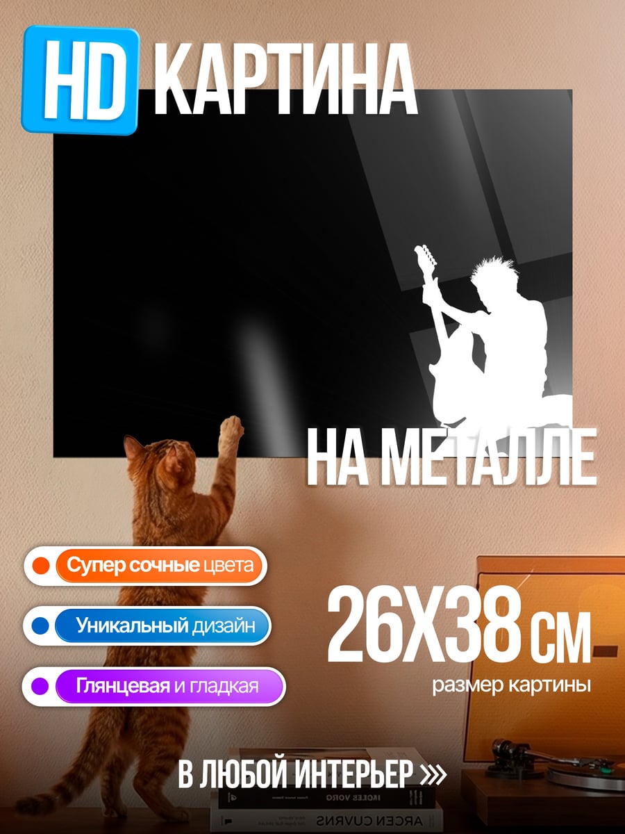 Картина на металле Силуэт гитариста