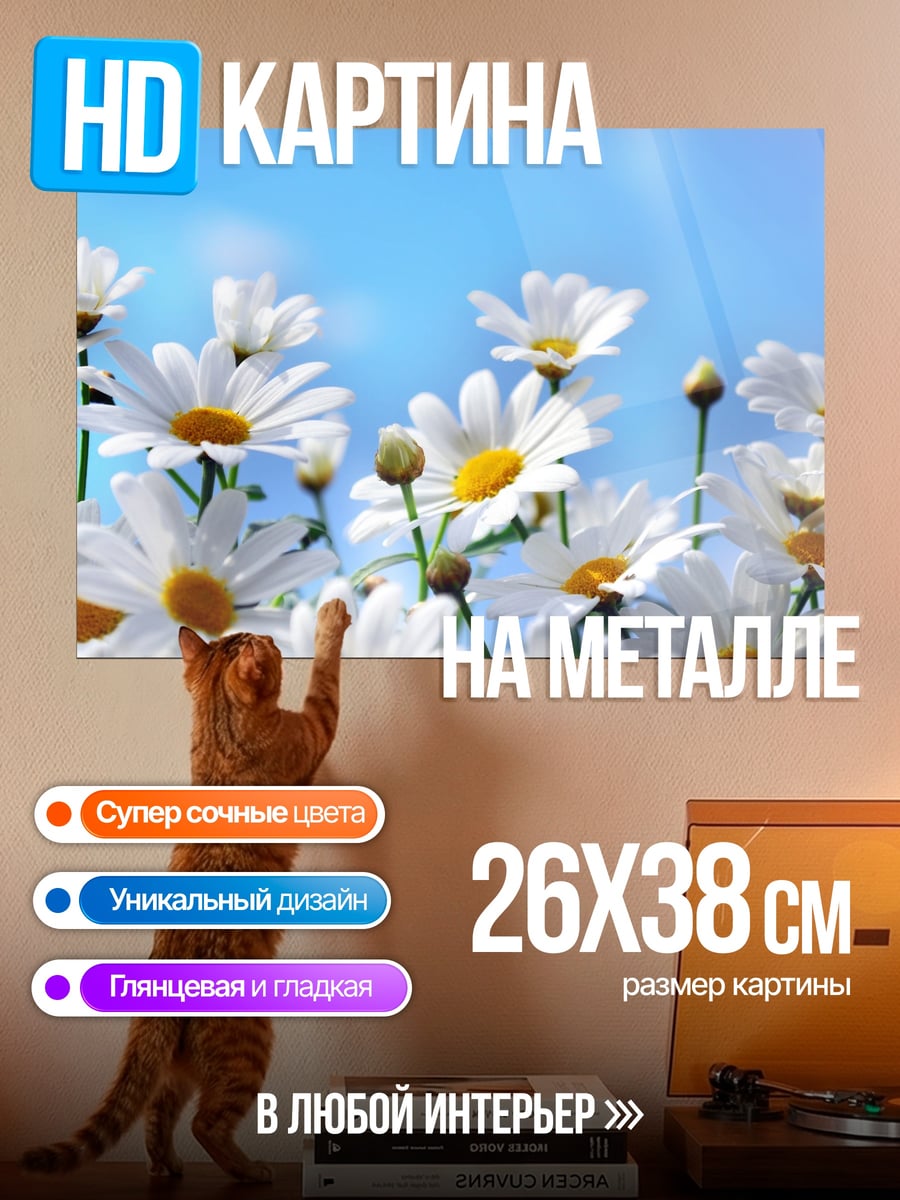 Картина на металле Поле ромашек голубое