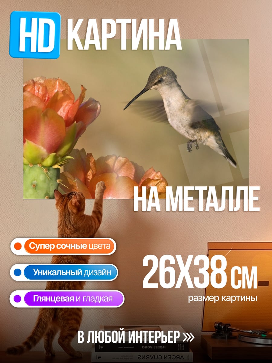 Картина на металле колибри и цветок