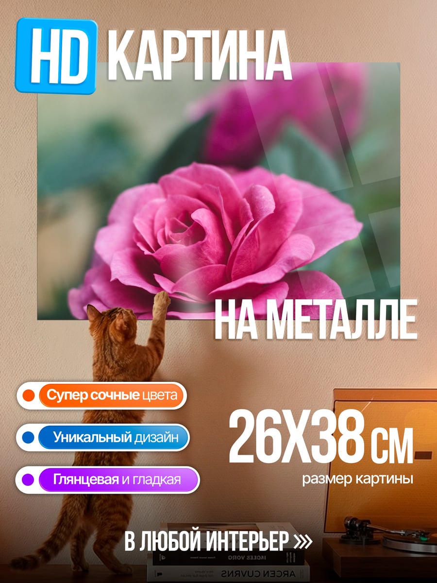 Картина на металле Розовые розы в саду