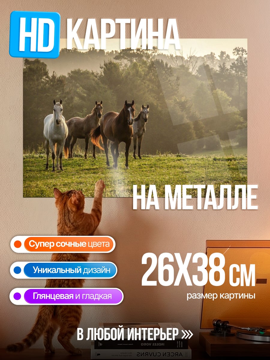 Картина на металле Дикие лошади на лугу