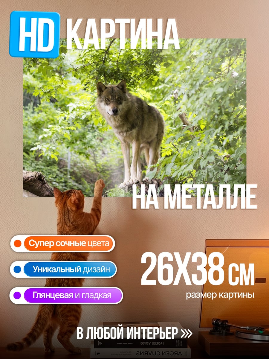 Картина на металле серый волк