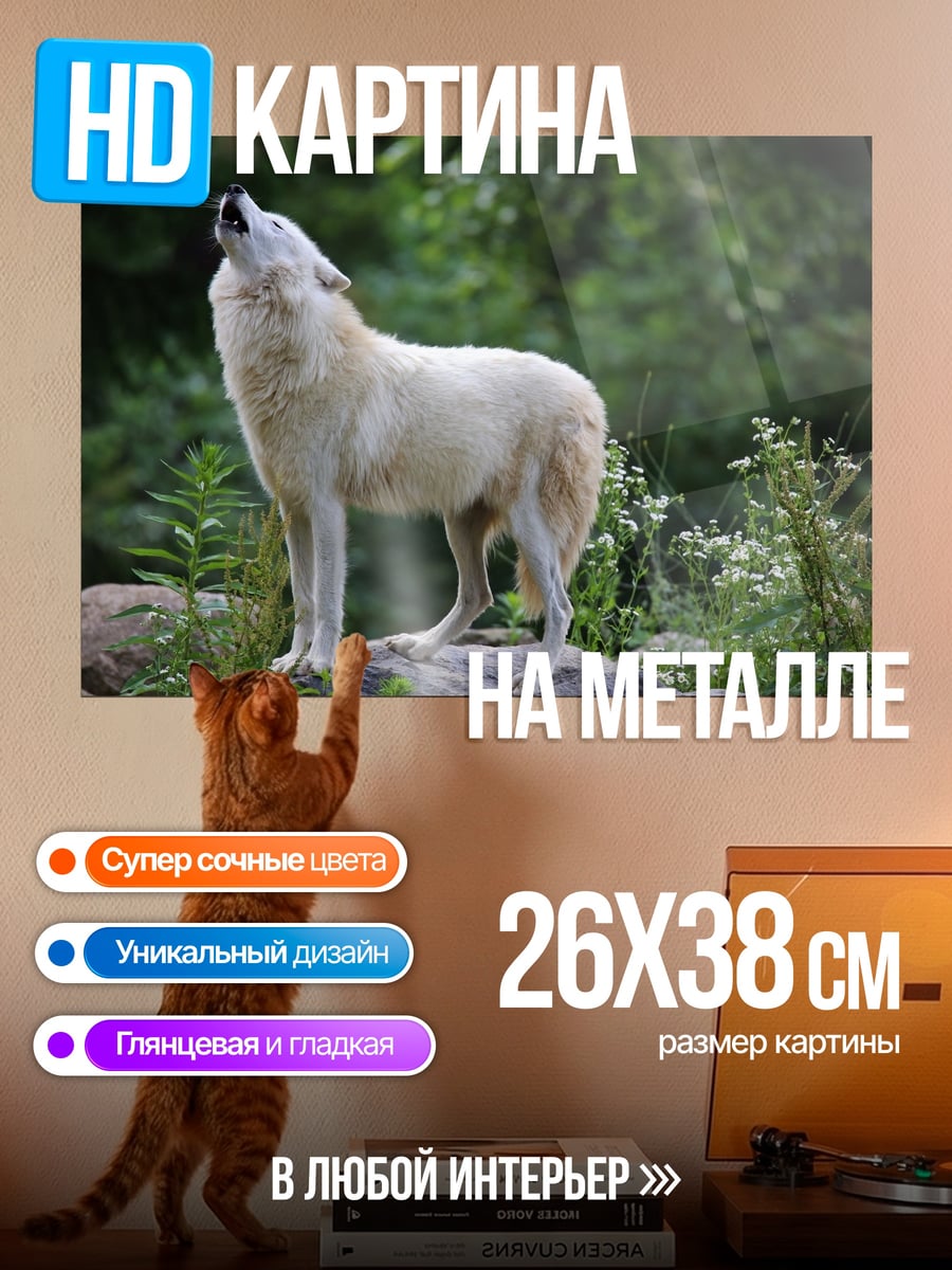 Картина на металле белый волк
