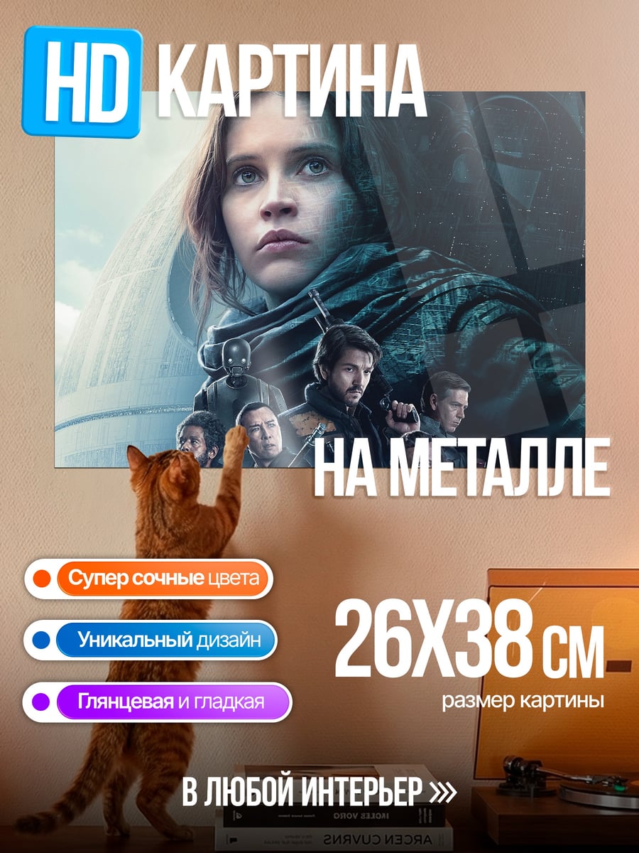 Картина на металле изгой один