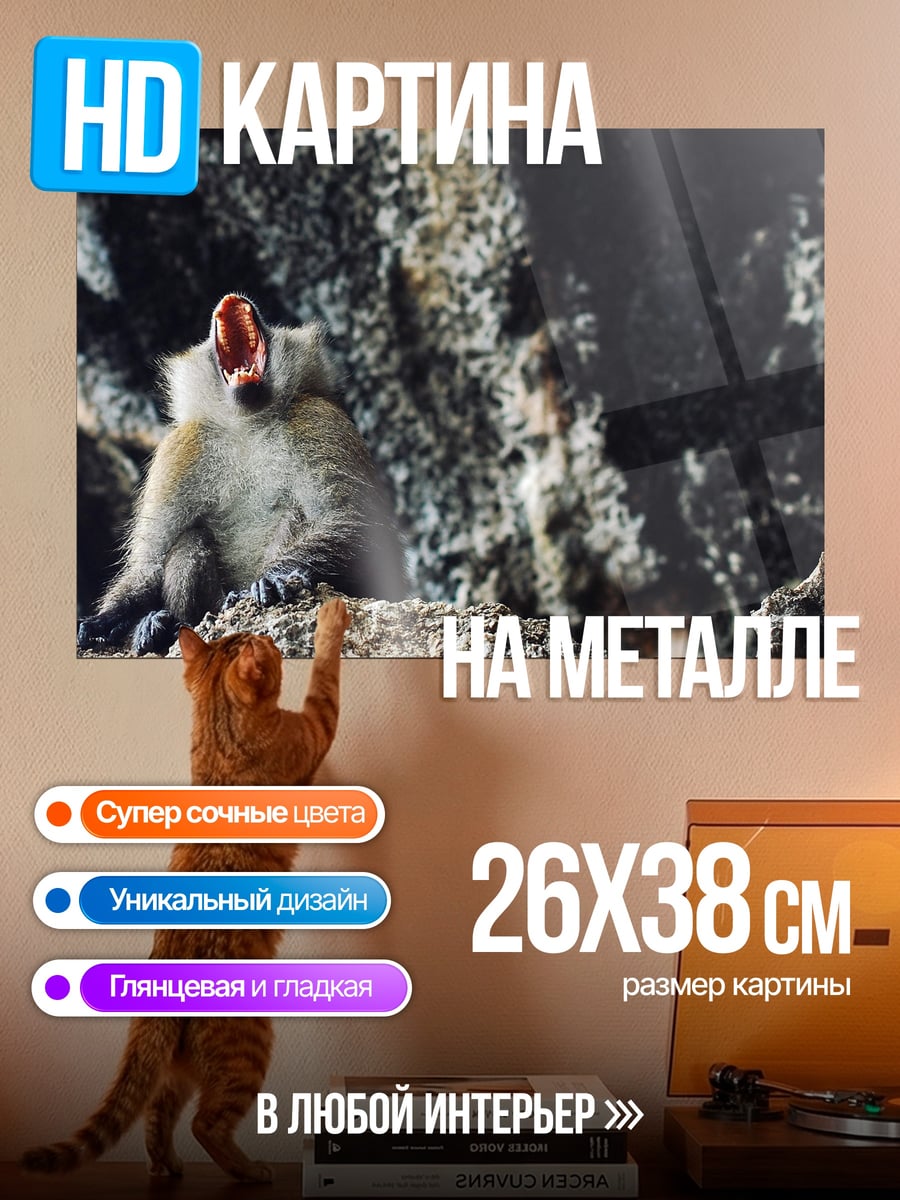 Картина на металле Обезьяна в пещере