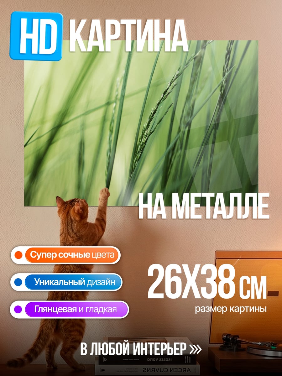 Картина на металле Трава после дождя