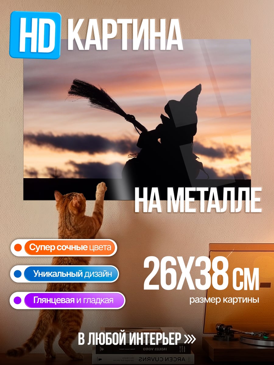 Картина на металле Силуэт ведьмы на закате