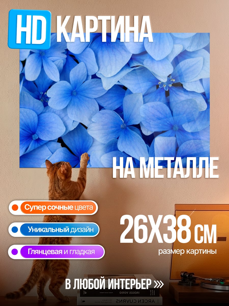 Картина на металле Крупный план гортензии