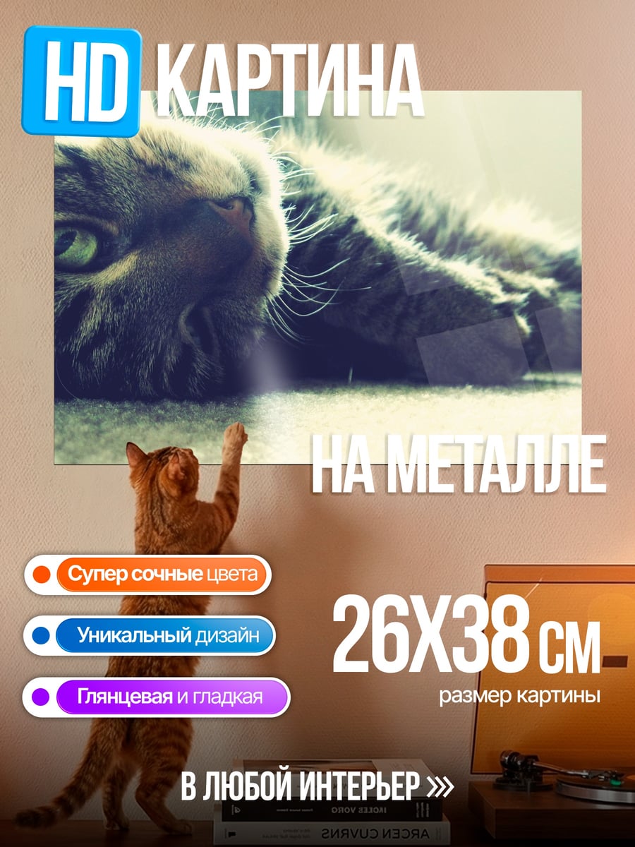 Картина на металле Ленивый кот отдыхает