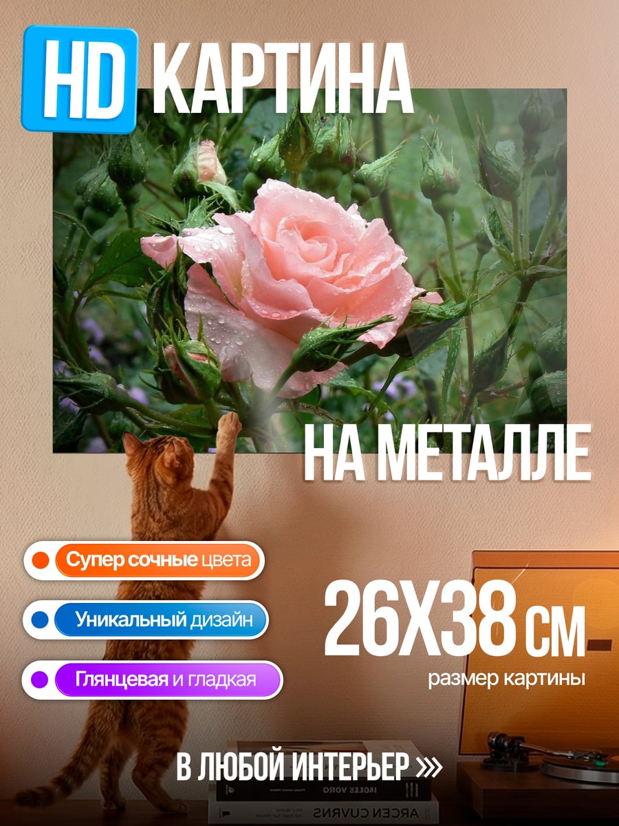 Картина на металле Нежная розовая роза