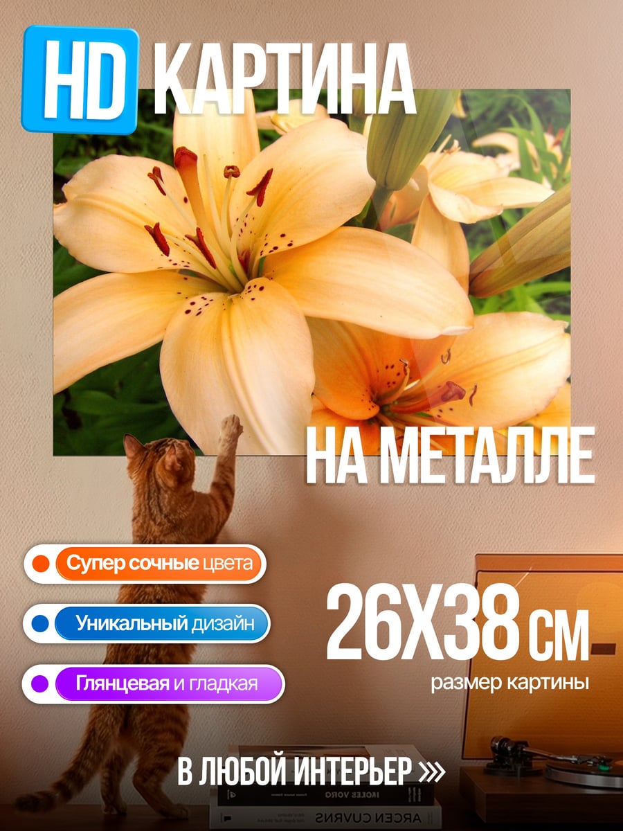Картина на металле Крупный план лилий