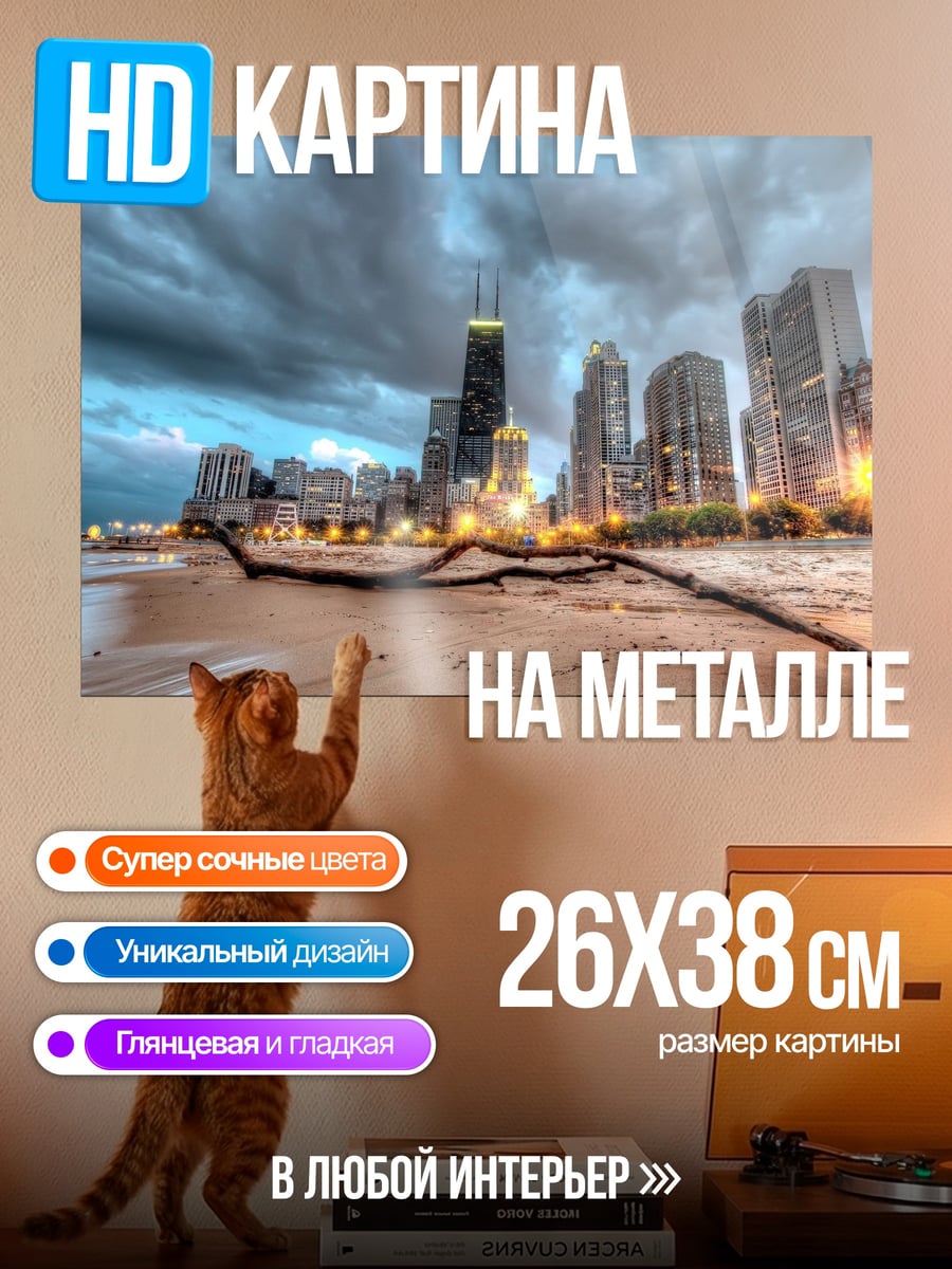 Картина на металле Чикаго у озера