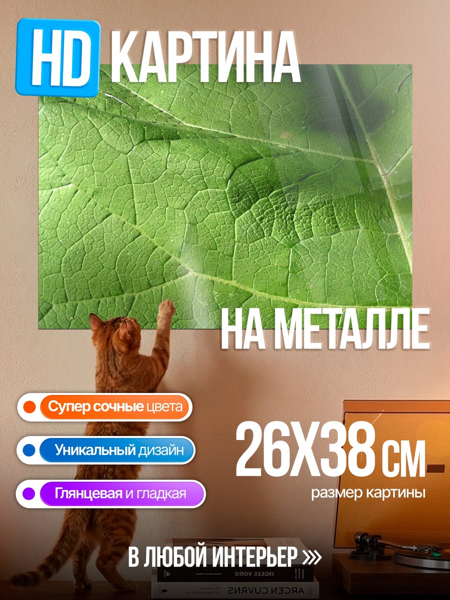 Картина на металле Крупный план листа