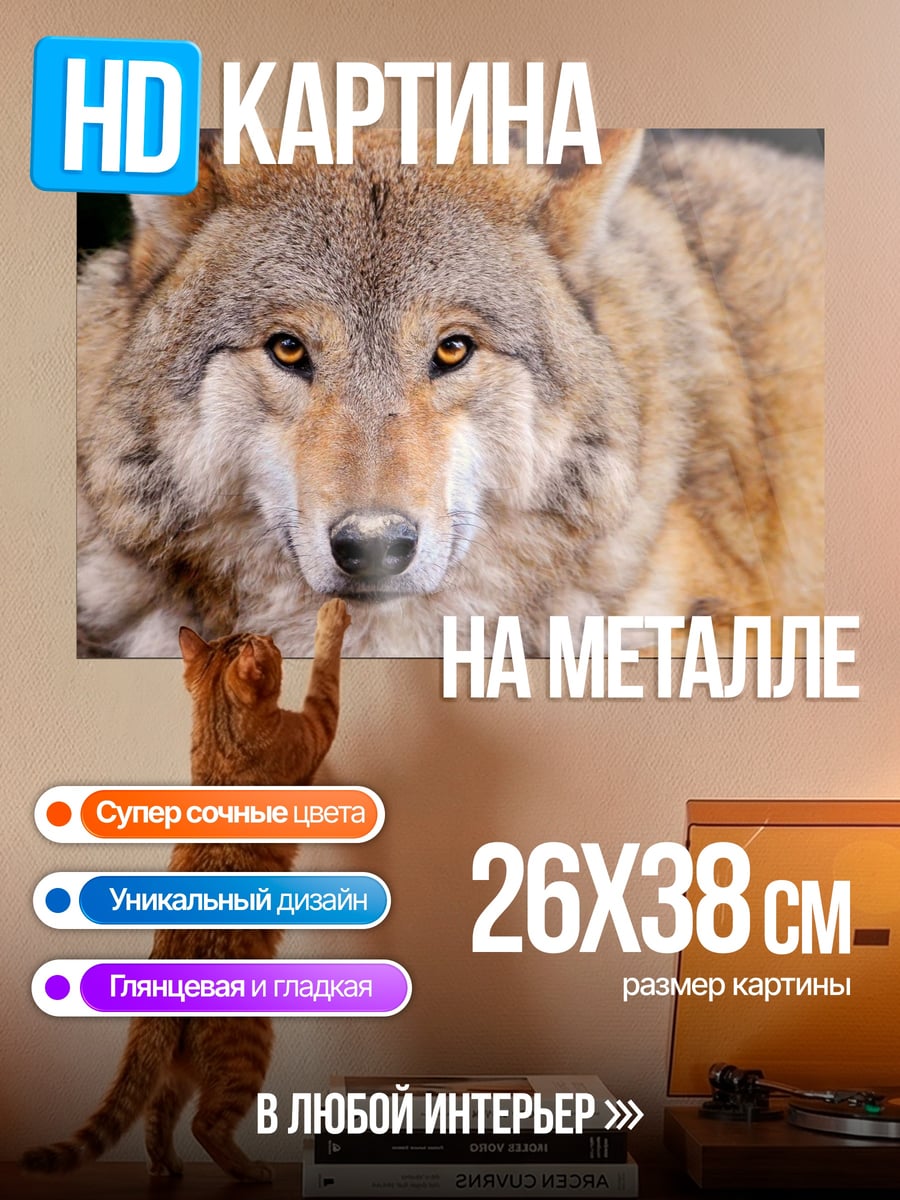 Картина на металле Крупный план волка