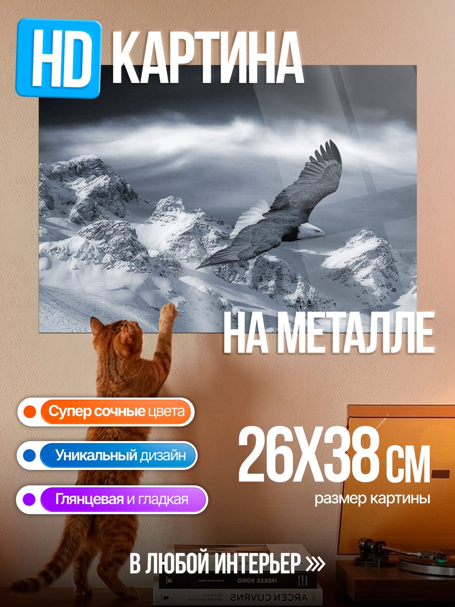 Картина на металле Орёл над горами