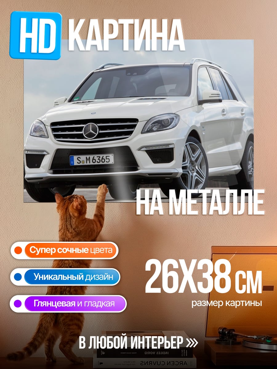 Картина на металле белый внедорожник