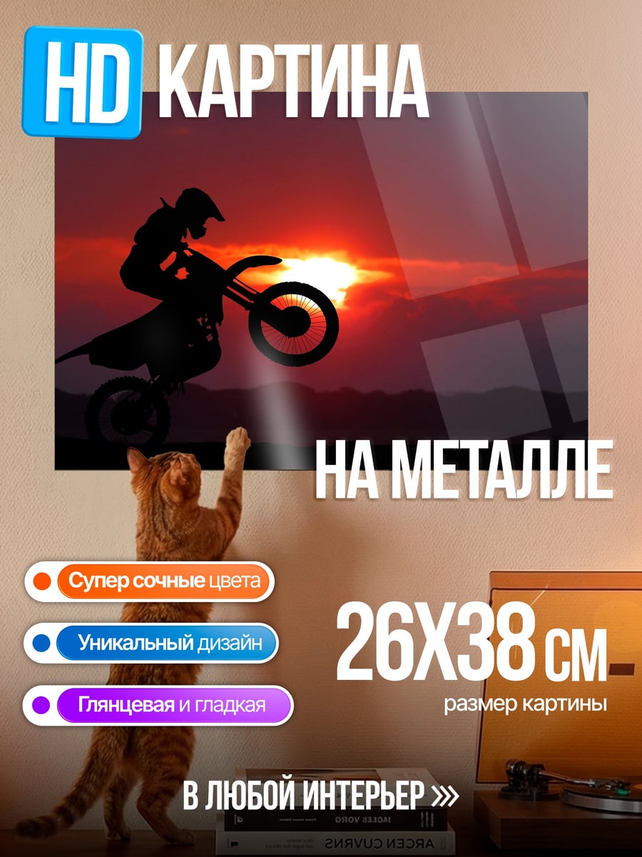 Картина на металле Мотоциклист закат