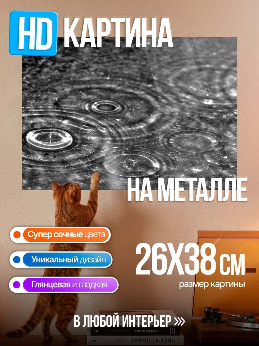 Картина на металле Круги на воде