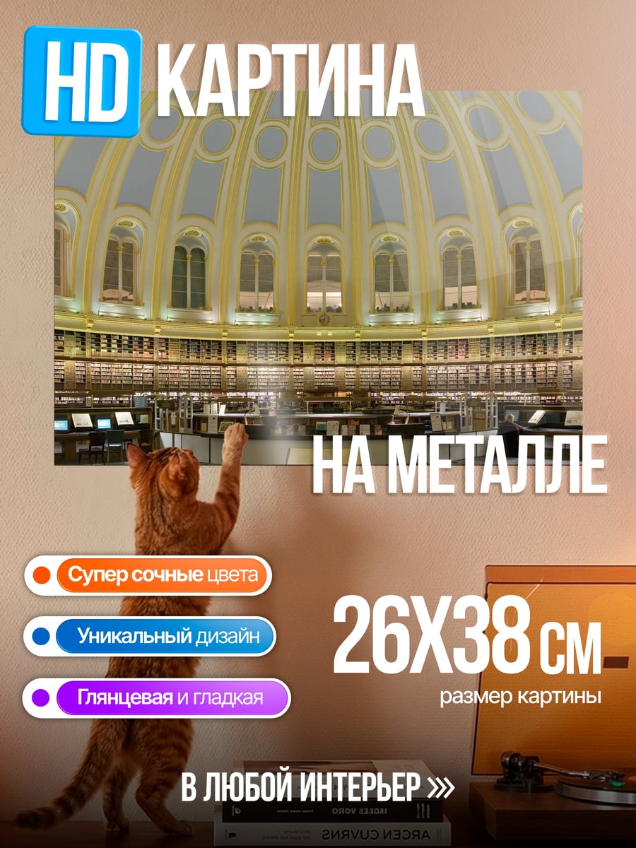 Картина на металле Библиотека купол