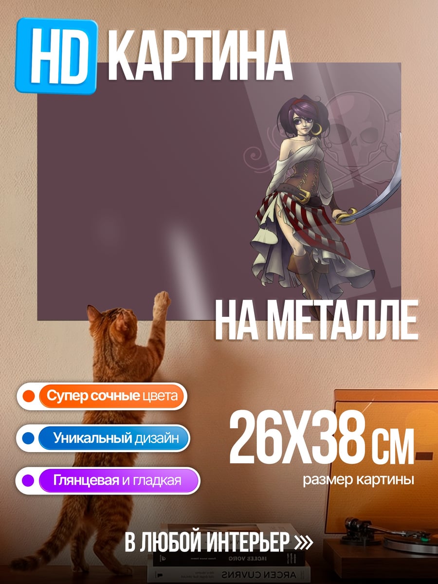 Картина на металле пиратка с саблей