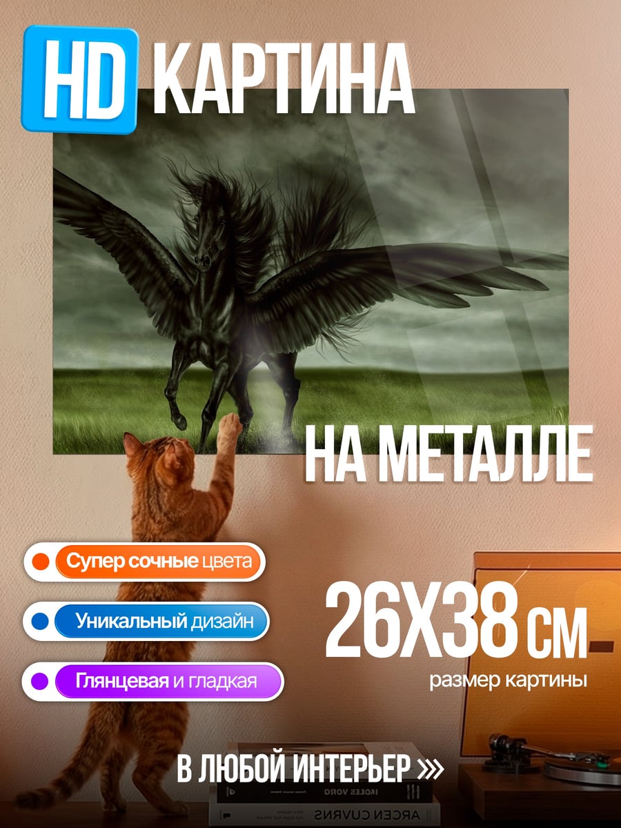 Картина на металле Черный Пегас