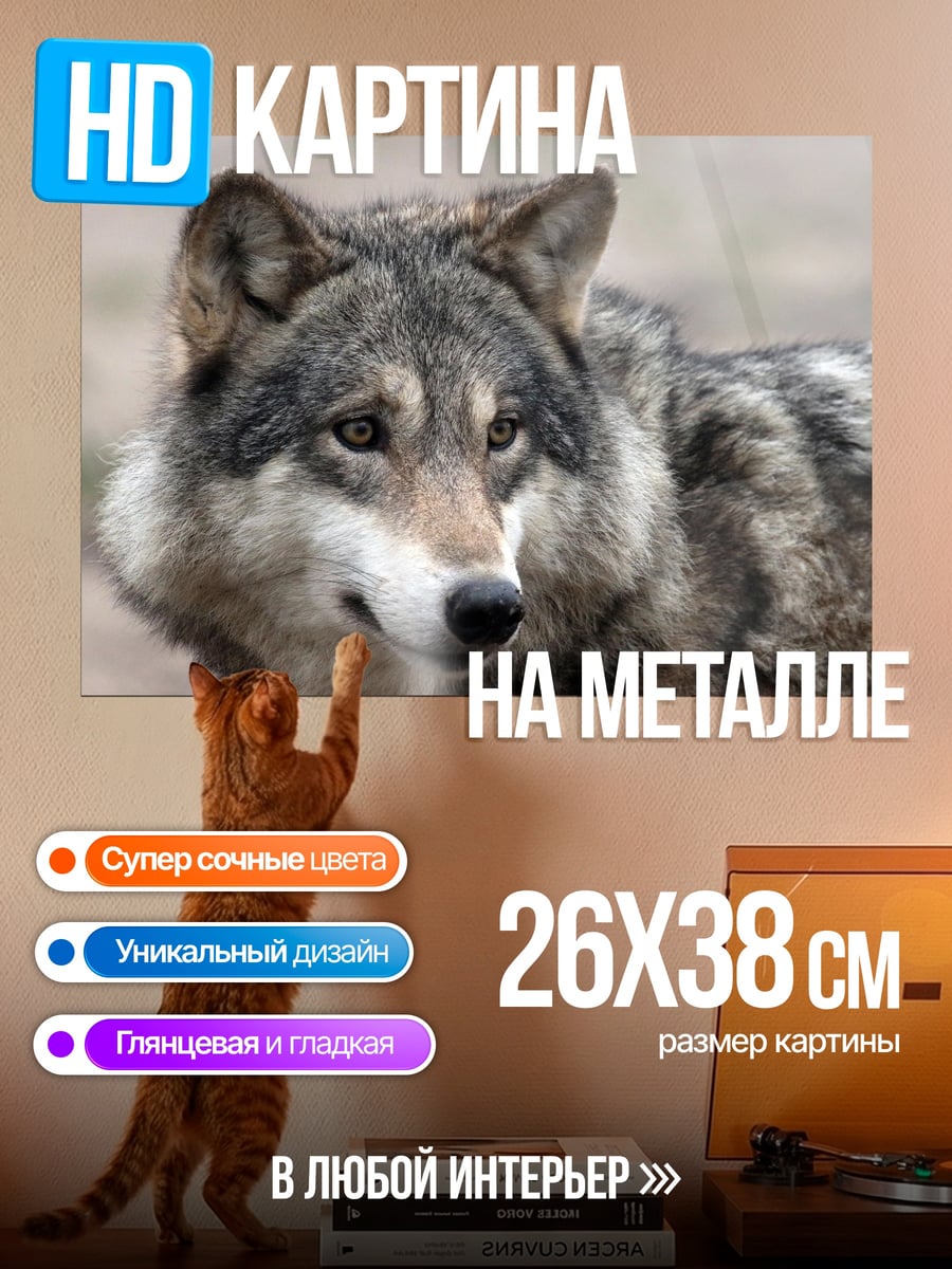 Картина на металле Портрет волка