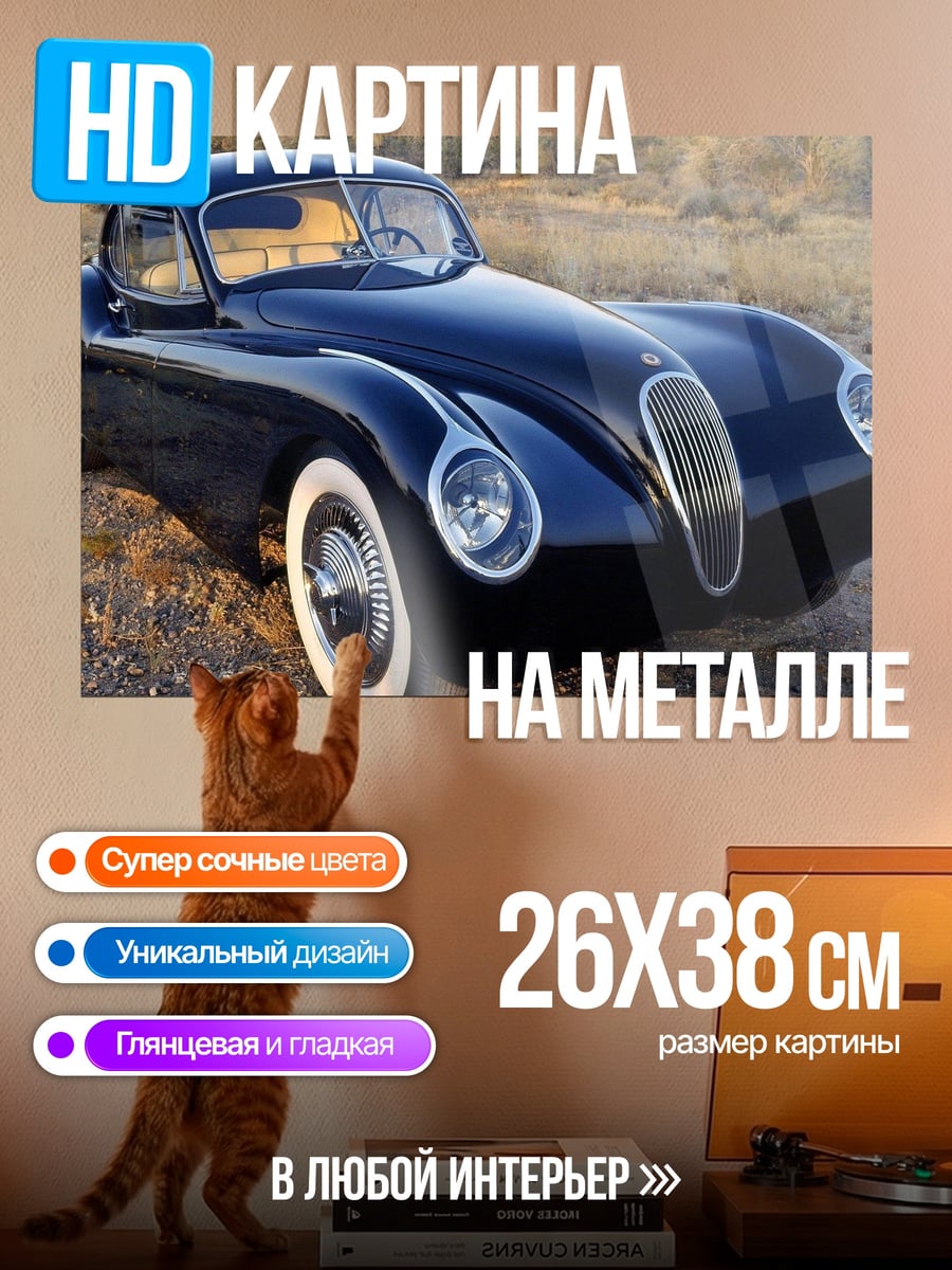Картина на металле ретро купе
