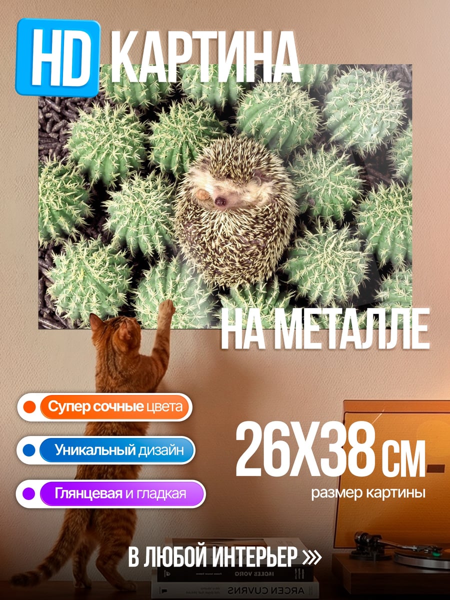 Картина на металле Ёж среди кактусов