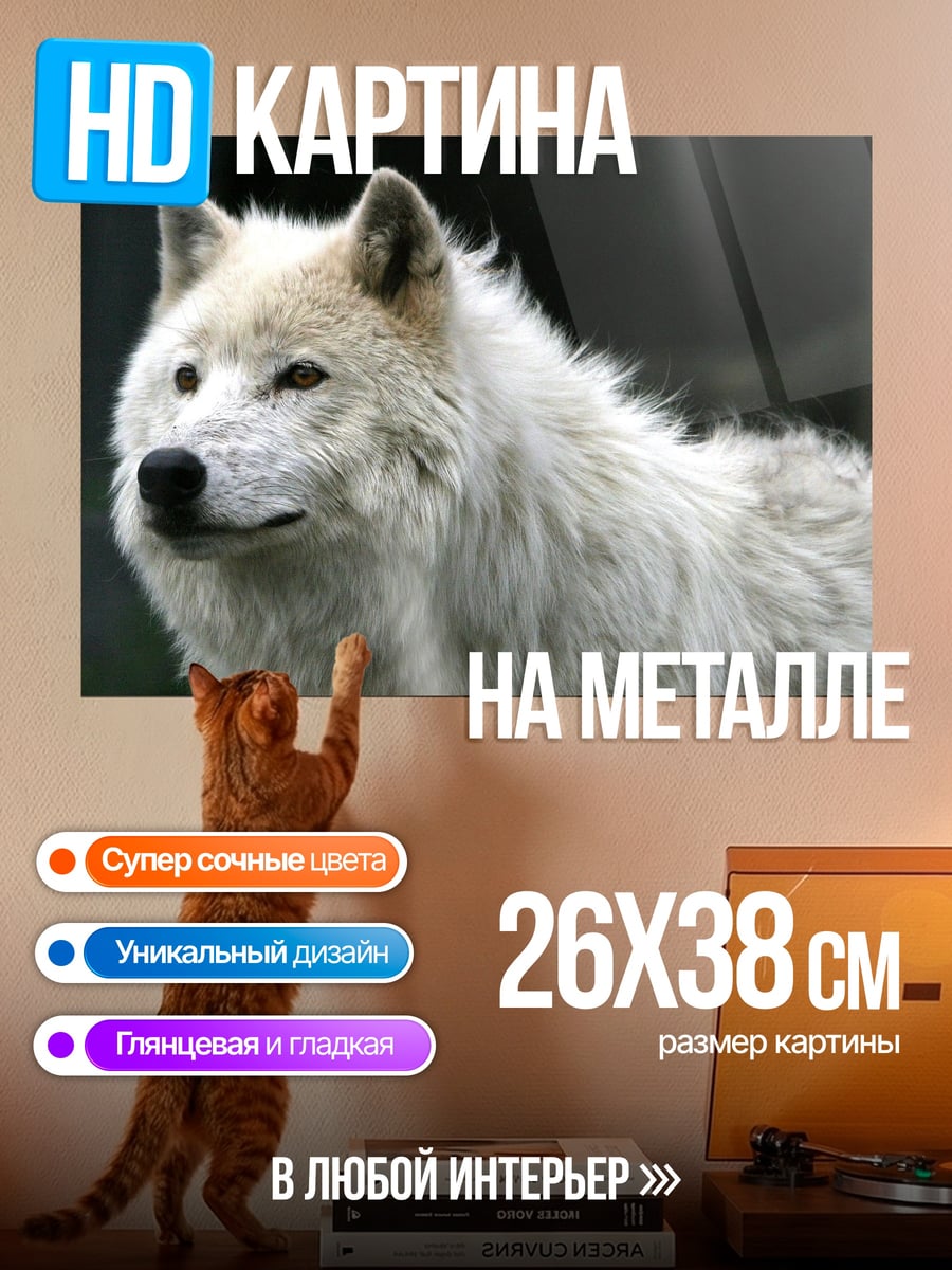 Картина на металле Белый волк