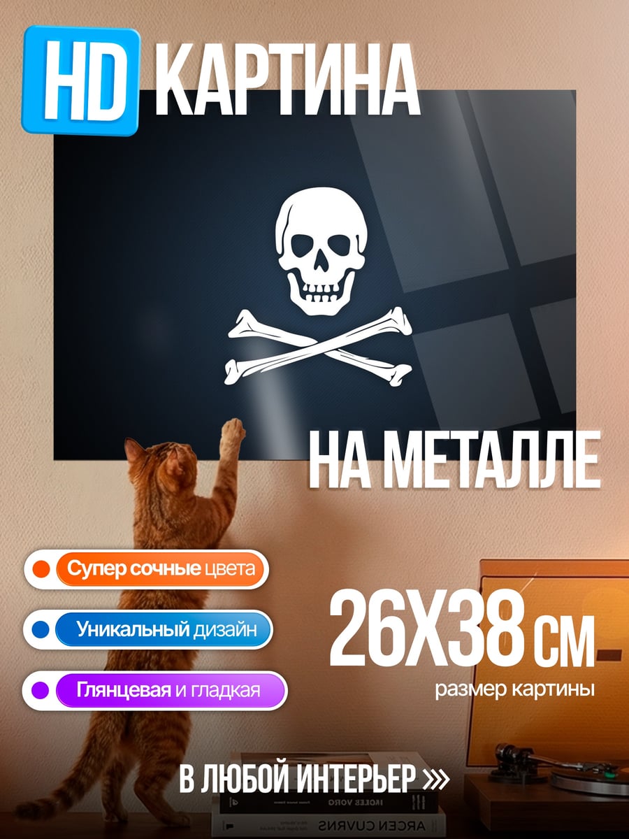 Картина на металле Веселый Роджер