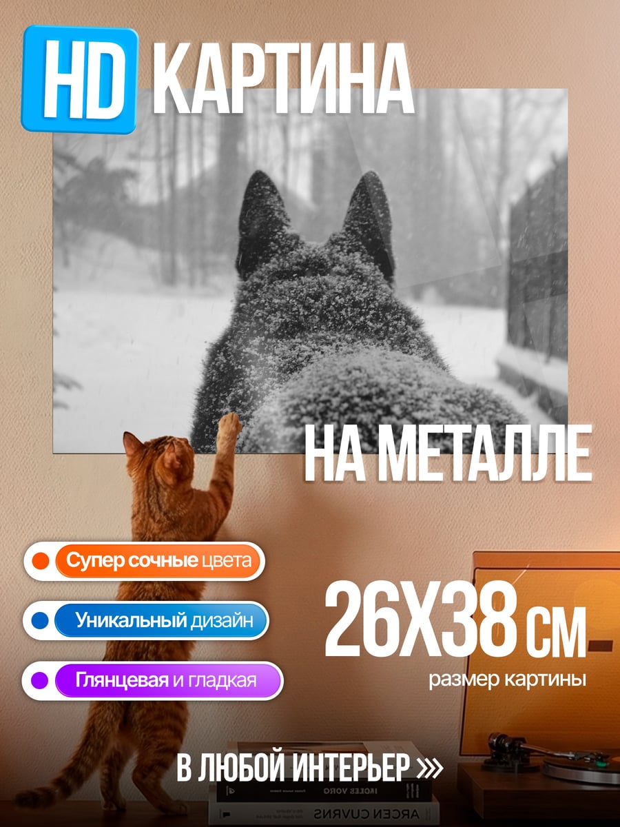 Картина на металле Собака в снегу