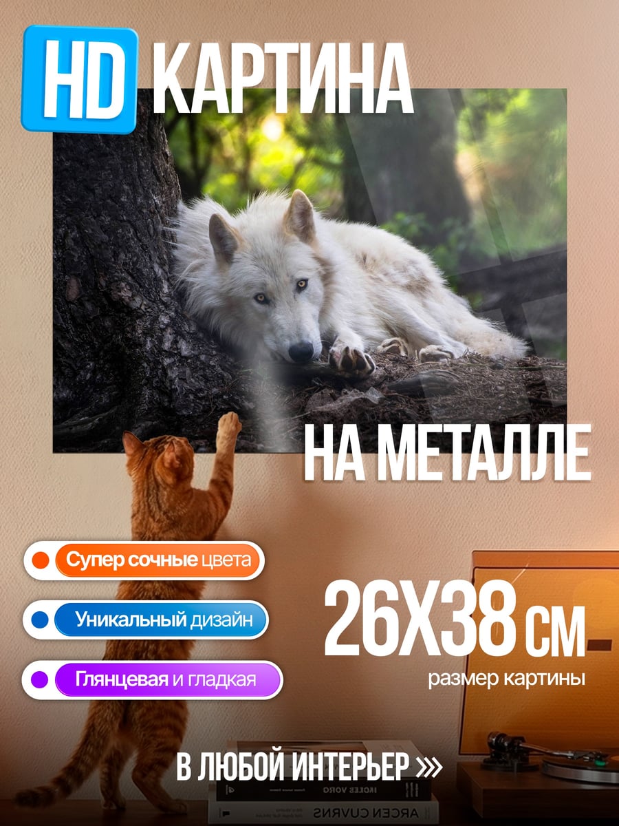 Картина на металле Белый волк в лесу