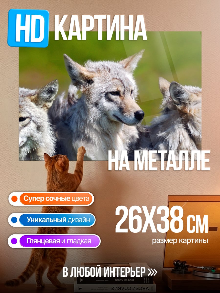 Картина на металле Стая волков