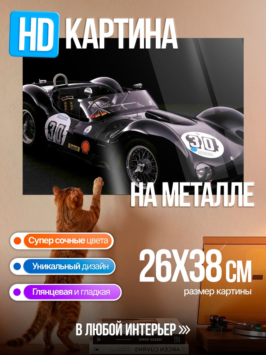 Картина на металле гоночный болид