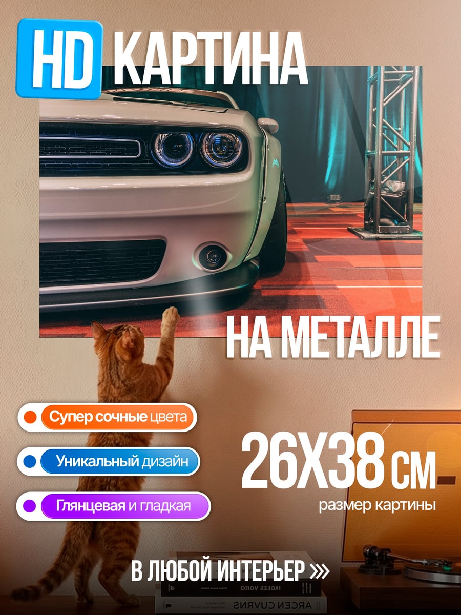Картина на металле передний бампер